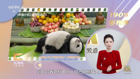 突袭直播